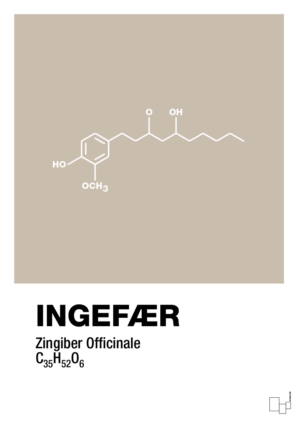plakat: ingefær - creamy mushroom-Kemi-A1two3