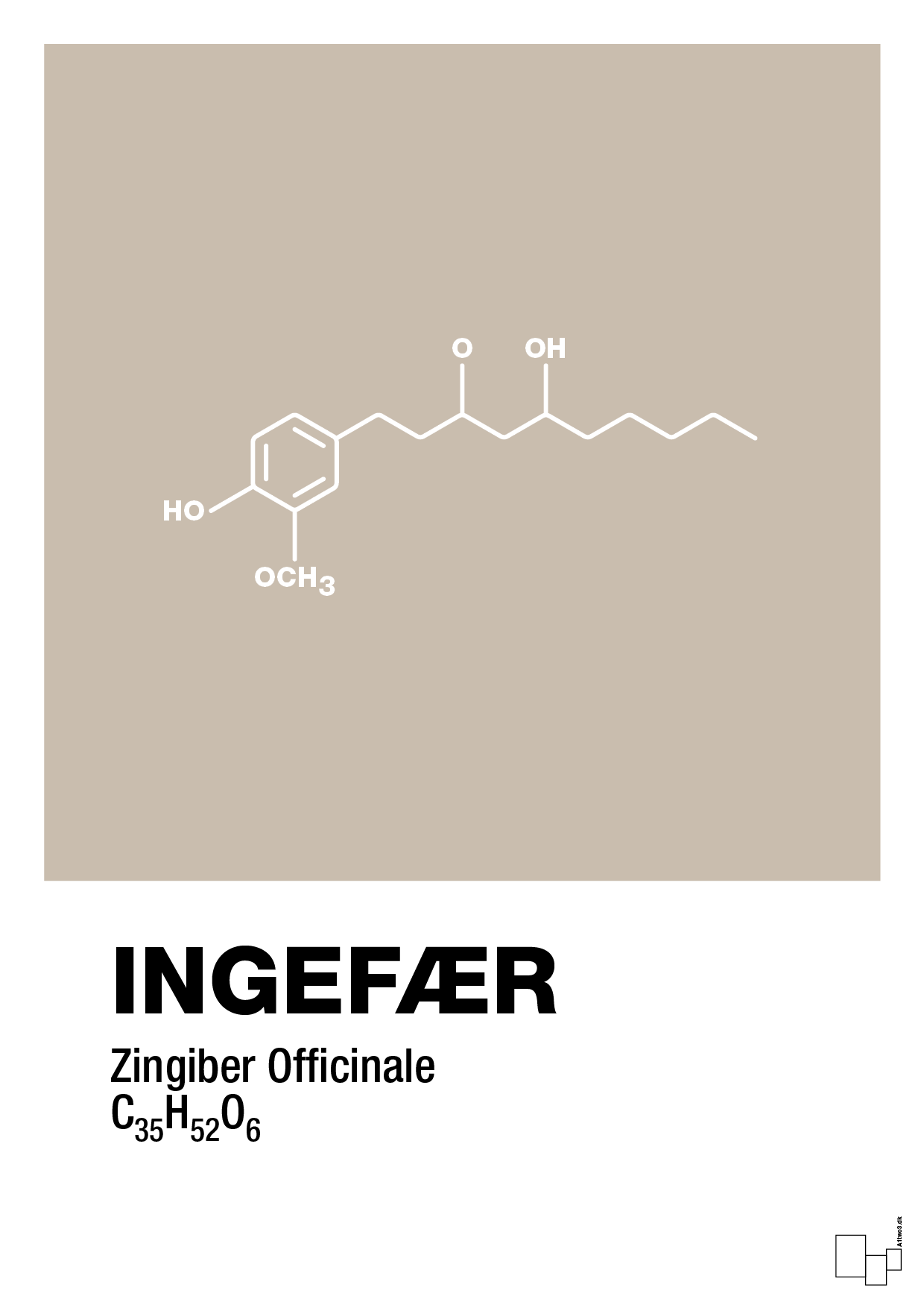 plakat: ingefær - creamy mushroom-Kemi-A1two3