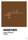 plakat: ingefær - dark brown-Kemi-A1two3