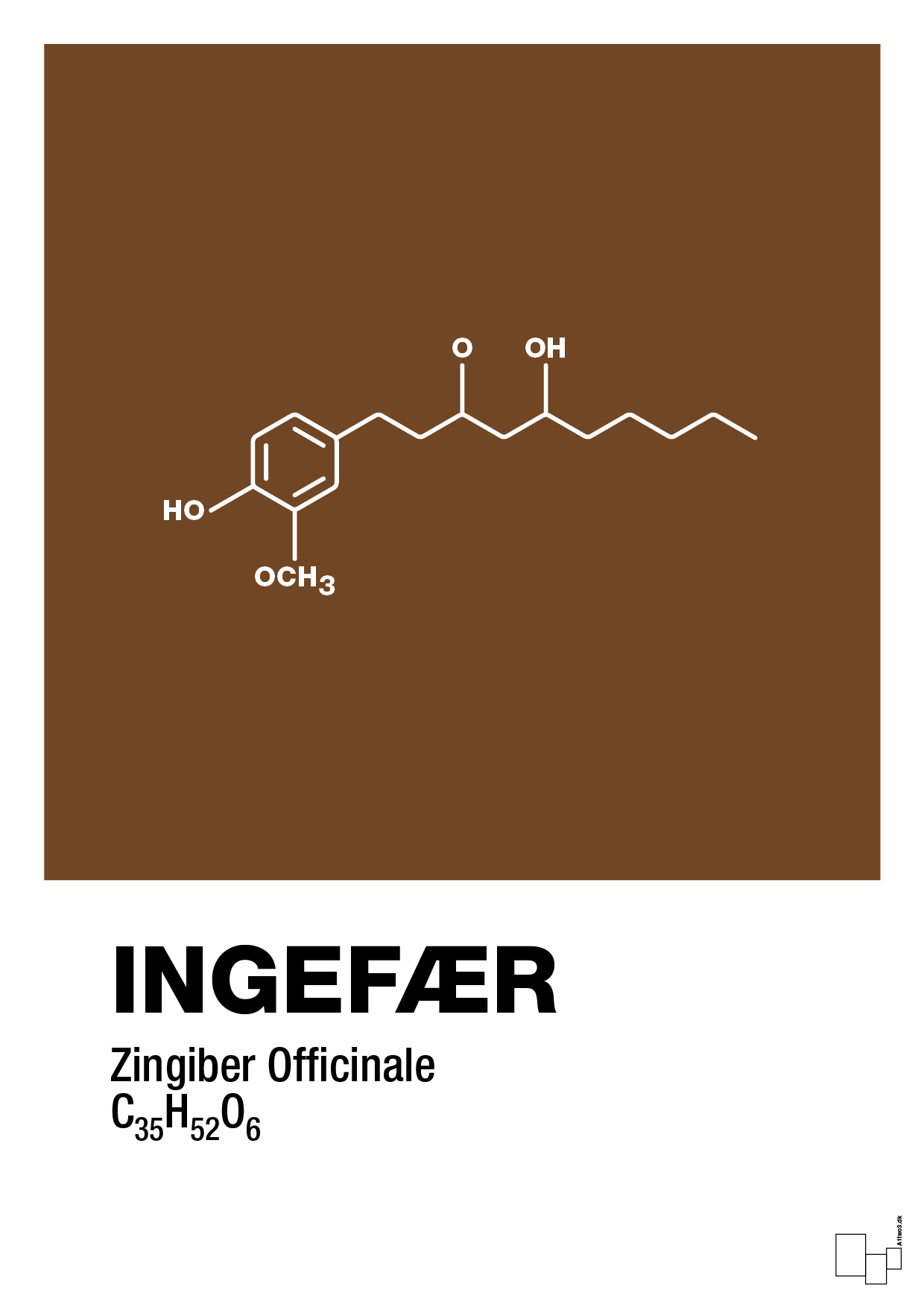 plakat: ingefær - dark brown-Kemi-A1two3