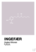 plakat: ingefær - dusty lilac-Kemi-A1two3