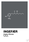plakat: ingefær - graphic charcoal-Kemi-A1two3