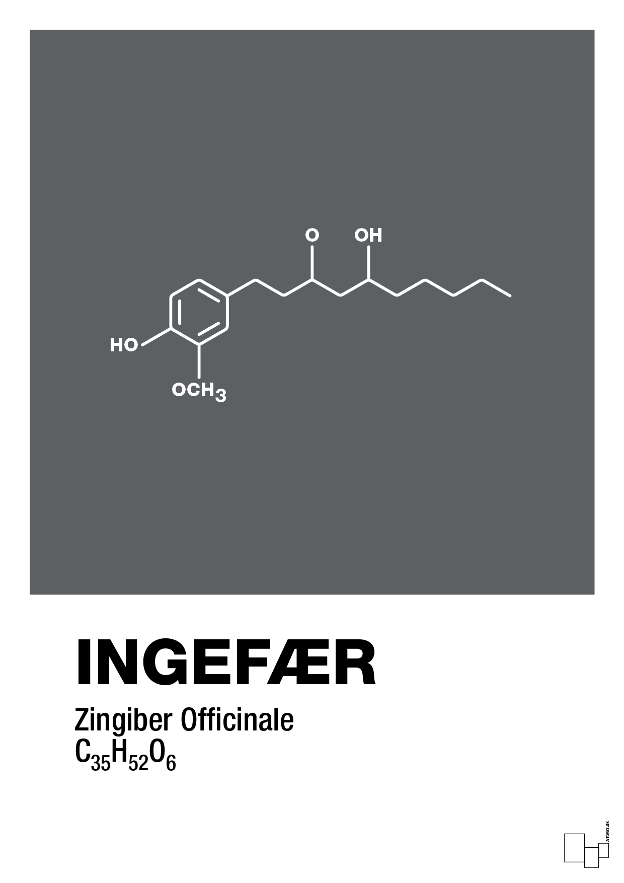 plakat: ingefær - graphic charcoal-Kemi-A1two3