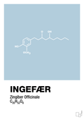 plakat: ingefær - heavenly blue-Kemi-A1two3