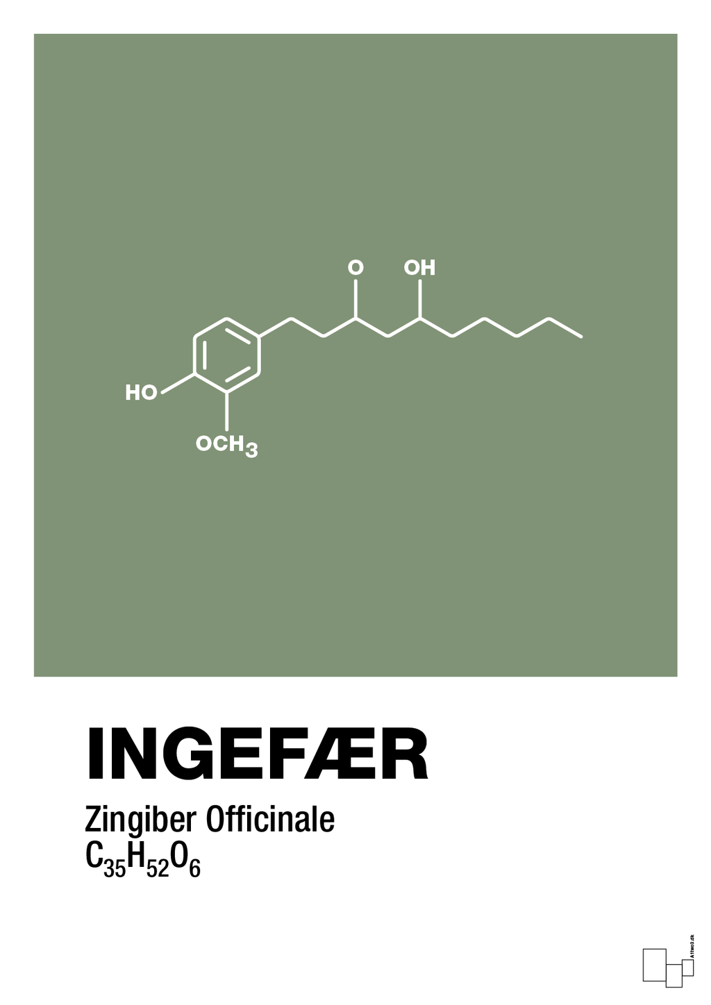 plakat: ingefær - jade-Kemi-A1two3