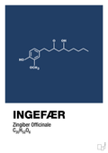 plakat: ingefær - lapis blue-Kemi-A1two3