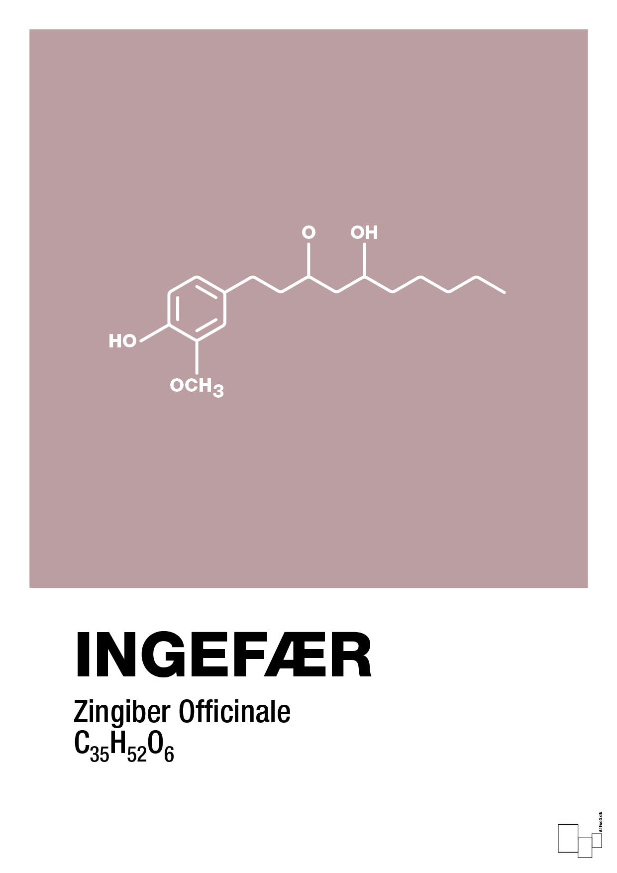 plakat: ingefær - light rose-Kemi-A1two3