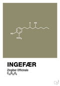 plakat: ingefær - misty forrest-Kemi-A1two3