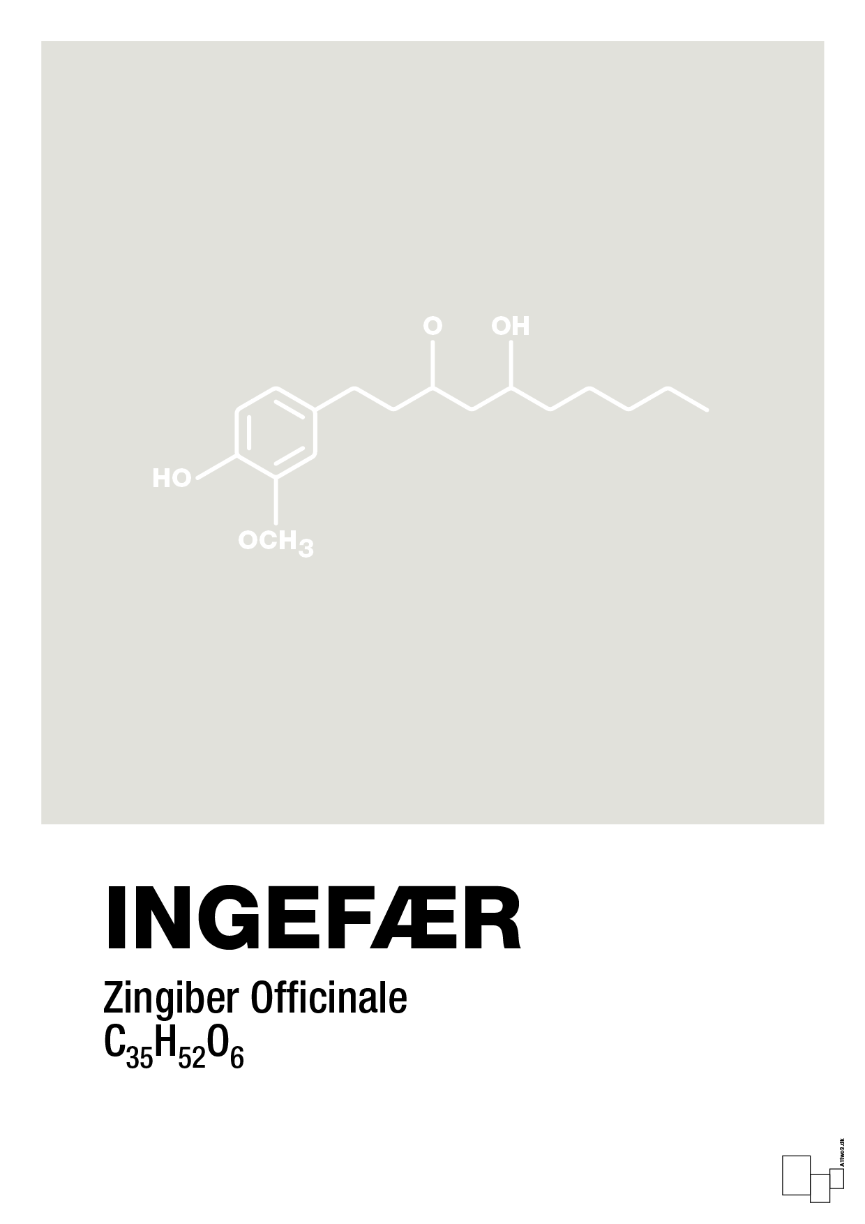plakat: ingefær - painters white-Kemi-A1two3