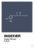 Ingefær - petrol-Kemi-A1two3