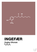 plakat: ingefær - plum-Kemi-A1two3