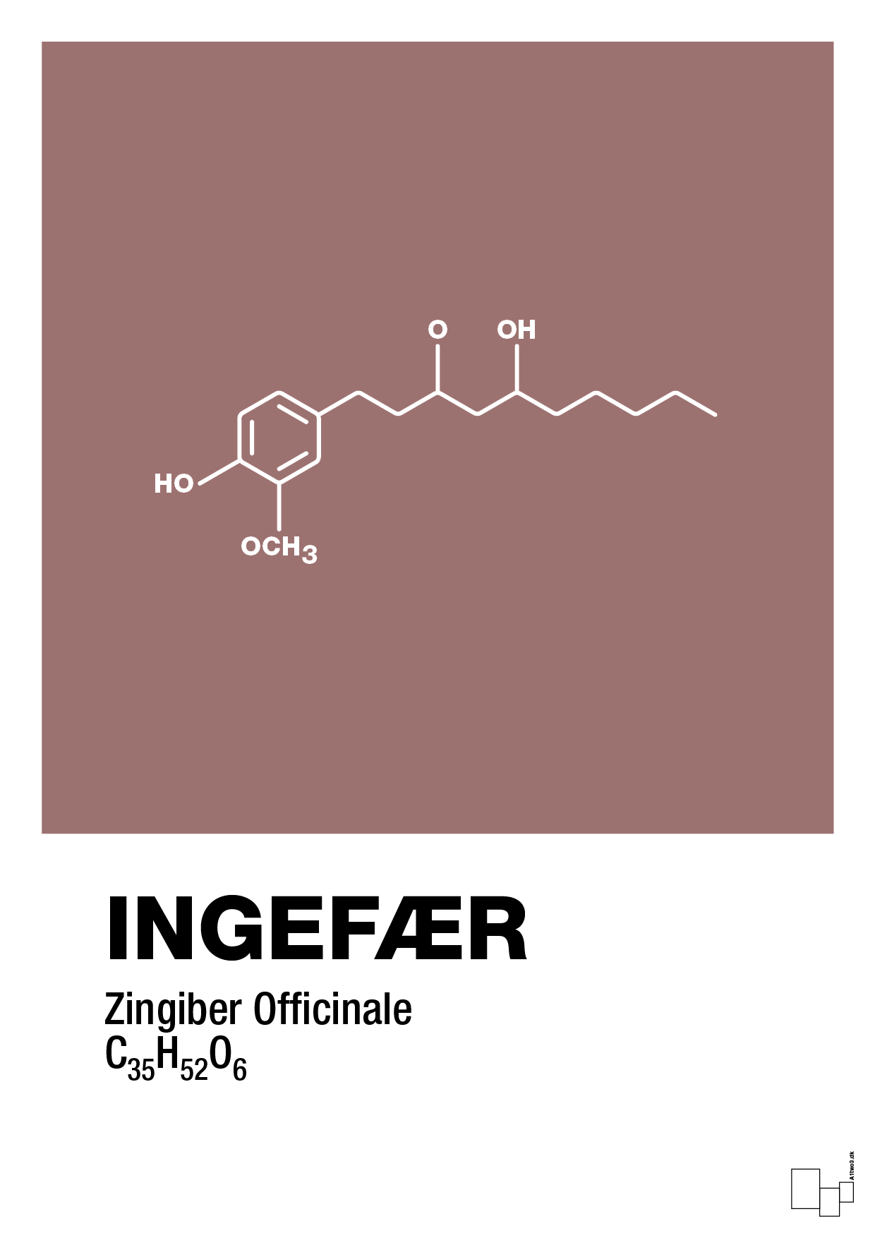 plakat: ingefær - plum-Kemi-A1two3