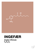 plakat: ingefær - powder-Kemi-A1two3
