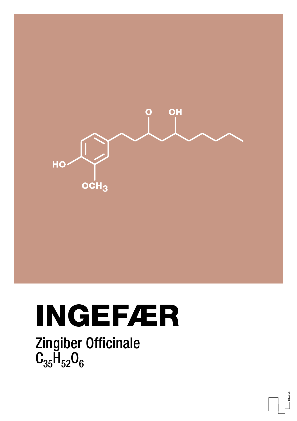 plakat: ingefær - powder-Kemi-A1two3