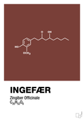 plakat: ingefær - red pepper-Kemi-A1two3