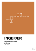 plakat: ingefær - rumba orange-Kemi-A1two3