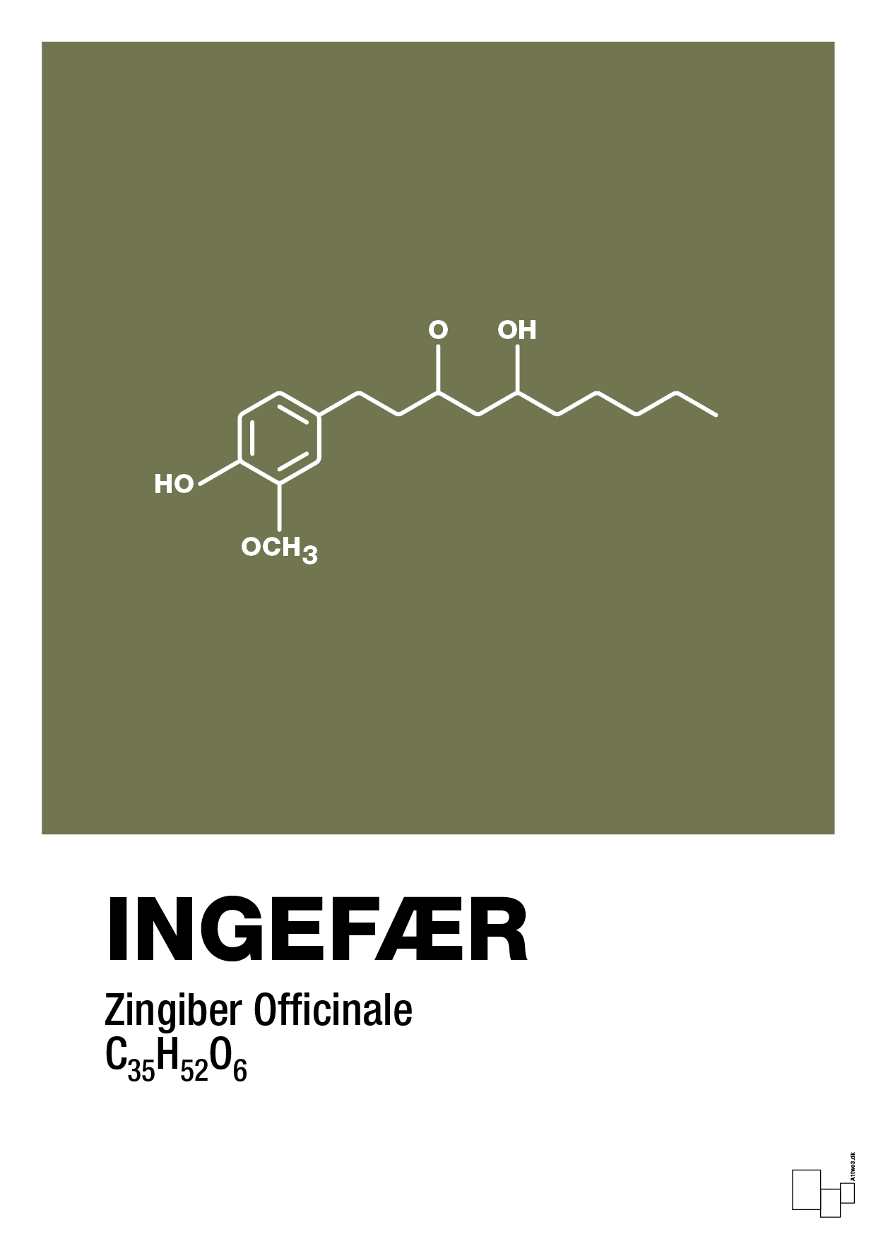 plakat: ingefær - secret meadow-Kemi-A1two3