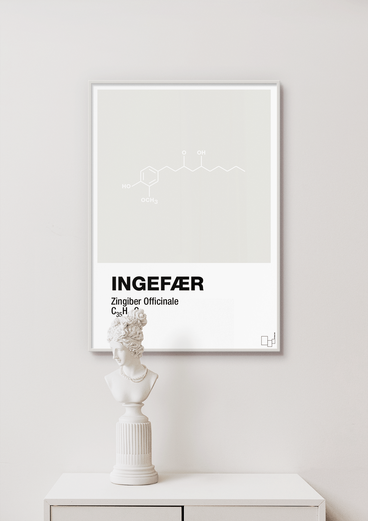 plakat: ingefær - graphic charcoal-Kemi-A1two3