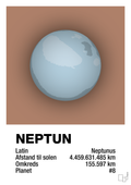 plakat: neptun - cider spice-Universet-A1two3