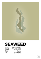 plakat: seaweed nutrition og miljø - back to nature-Ingredienser-A1two3