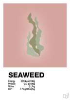 plakat: seaweed nutrition og miljø - bubble shell-Ingredienser-A1two3
