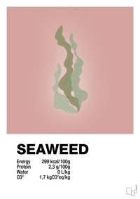 plakat: seaweed nutrition og miljø