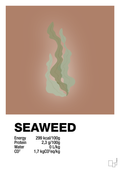 plakat: seaweed nutrition og miljø - cider spice-Ingredienser-A1two3