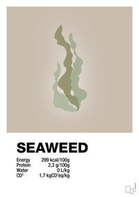 plakat: seaweed nutrition og miljø