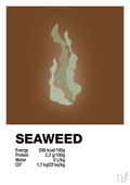 plakat: seaweed nutrition og miljø - dark brown-Ingredienser-A1two3