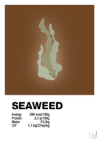 plakat: seaweed nutrition og miljø - dark brown-Ingredienser-A1two3