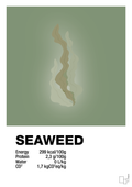 plakat: seaweed nutrition og miljø - jade-Ingredienser-A1two3