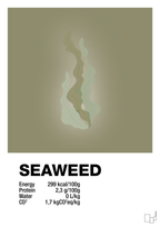 plakat: seaweed nutrition og miljø - misty forrest-Ingredienser-A1two3