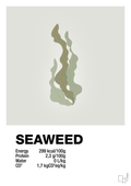 plakat: seaweed nutrition og miljø - painters white-Ingredienser-A1two3