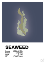 Seaweed nutrition og miljø - petrol-Ingredienser-A1two3