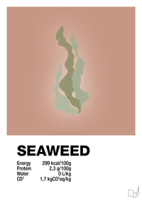 plakat: seaweed nutrition og miljø