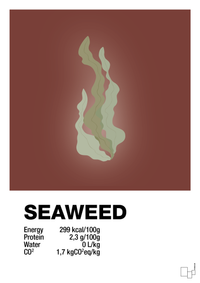 plakat: seaweed nutrition og miljø