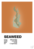 plakat: seaweed nutrition og miljø - rumba orange-Ingredienser-A1two3