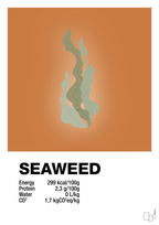 plakat: seaweed nutrition og miljø - rumba orange-Ingredienser-A1two3