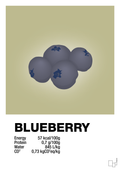 plakat: blueberry nutrition og miljø - back to nature-Ingredienser-A1two3