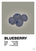plakat: blueberry nutrition og miljø - battleship gray-Ingredienser-A1two3
