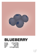 plakat: blueberry nutrition og miljø - bubble shell-Ingredienser-A1two3