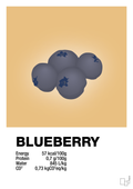plakat: blueberry nutrition og miljø - charismatic-Ingredienser-A1two3