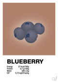 plakat: blueberry nutrition og miljø - cider spice-Ingredienser-A1two3