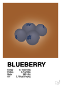 plakat: blueberry nutrition og miljø - cognac-Ingredienser-A1two3