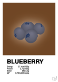 plakat: blueberry nutrition og miljø - dark brown-Ingredienser-A1two3