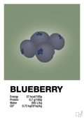 plakat: blueberry nutrition og miljø - jade-Ingredienser-A1two3