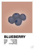 plakat: blueberry nutrition og miljø - powder-Ingredienser-A1two3