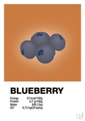plakat: blueberry nutrition og miljø - rumba orange-Ingredienser-A1two3