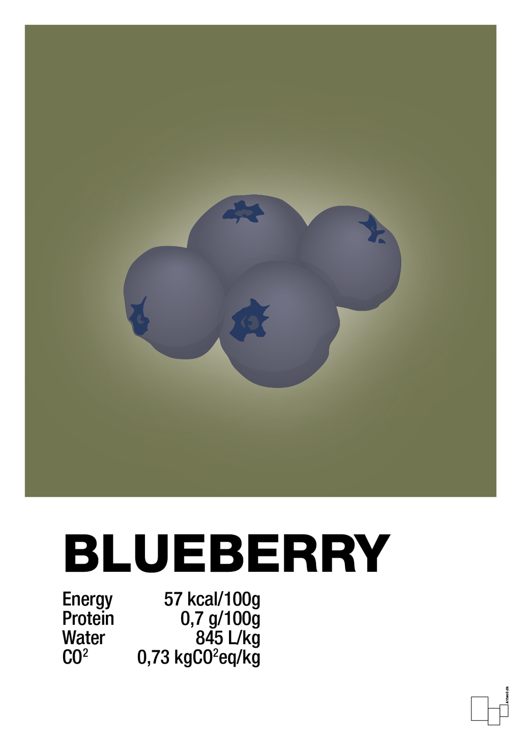 plakat: blueberry nutrition og miljø - secret meadow-Ingredienser-A1two3