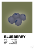 plakat: blueberry nutrition og miljø - secret meadow-Ingredienser-A1two3
